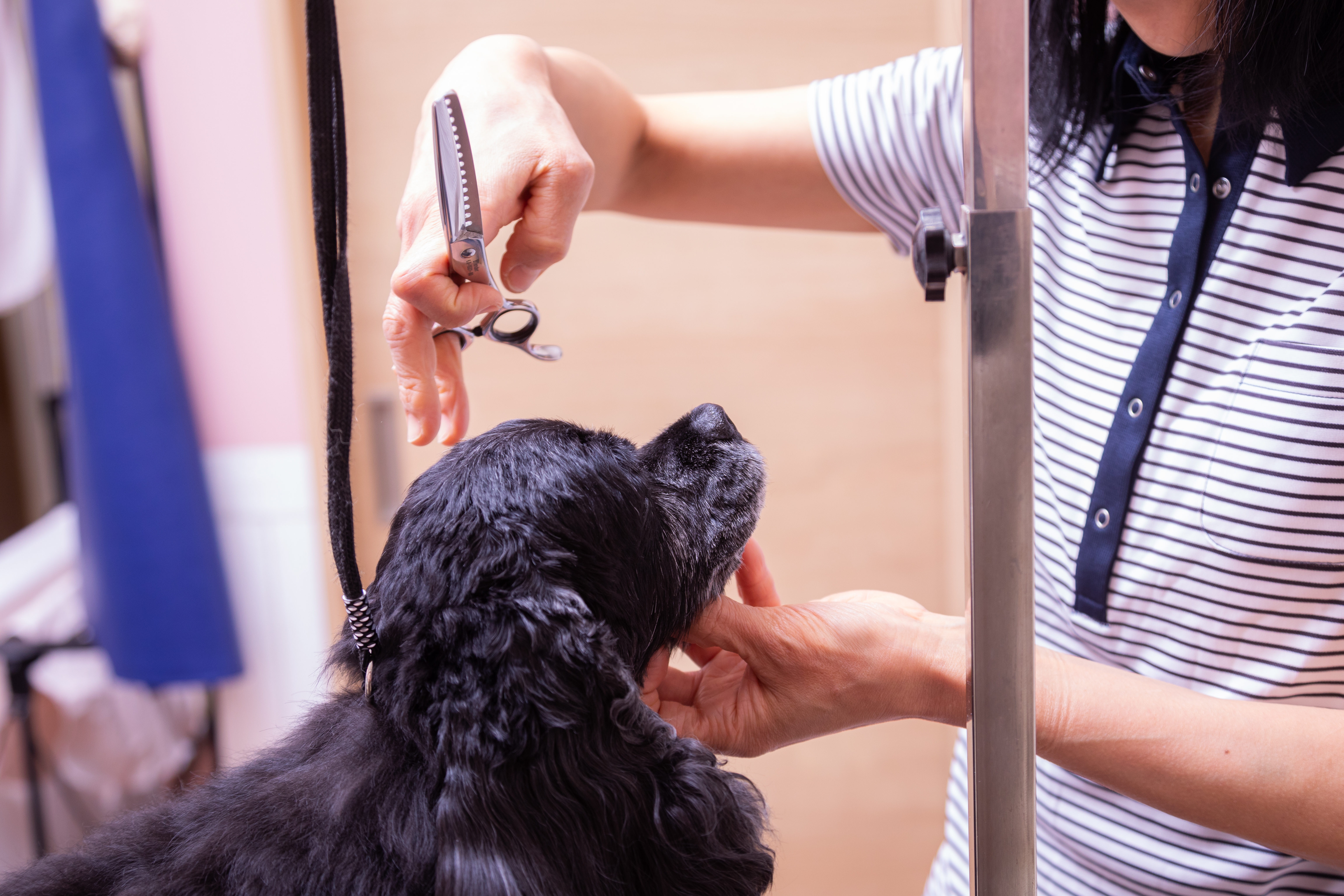 外からキレイに、中から元気に。