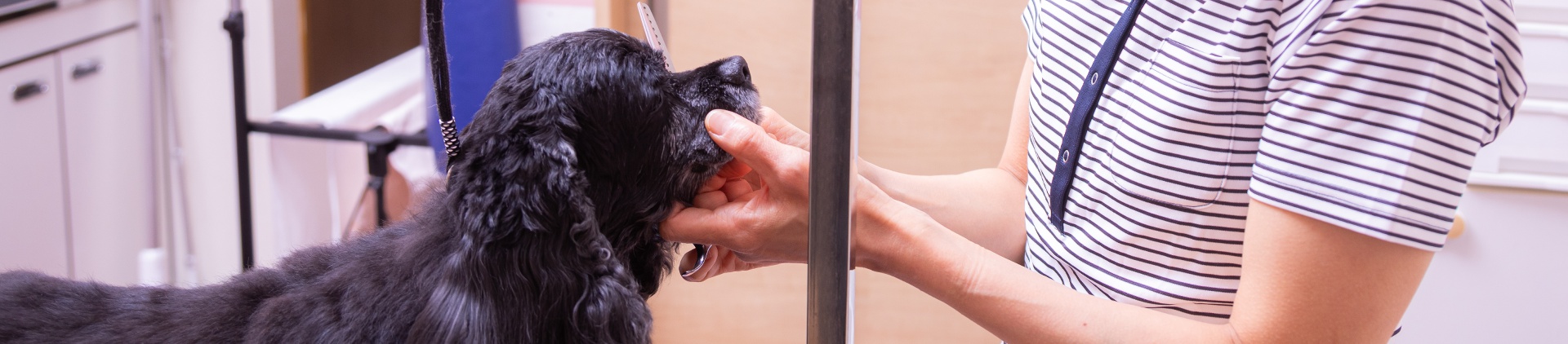 はじめての方へ