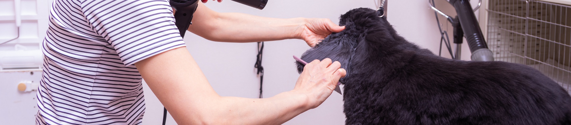 おすすめメニュー