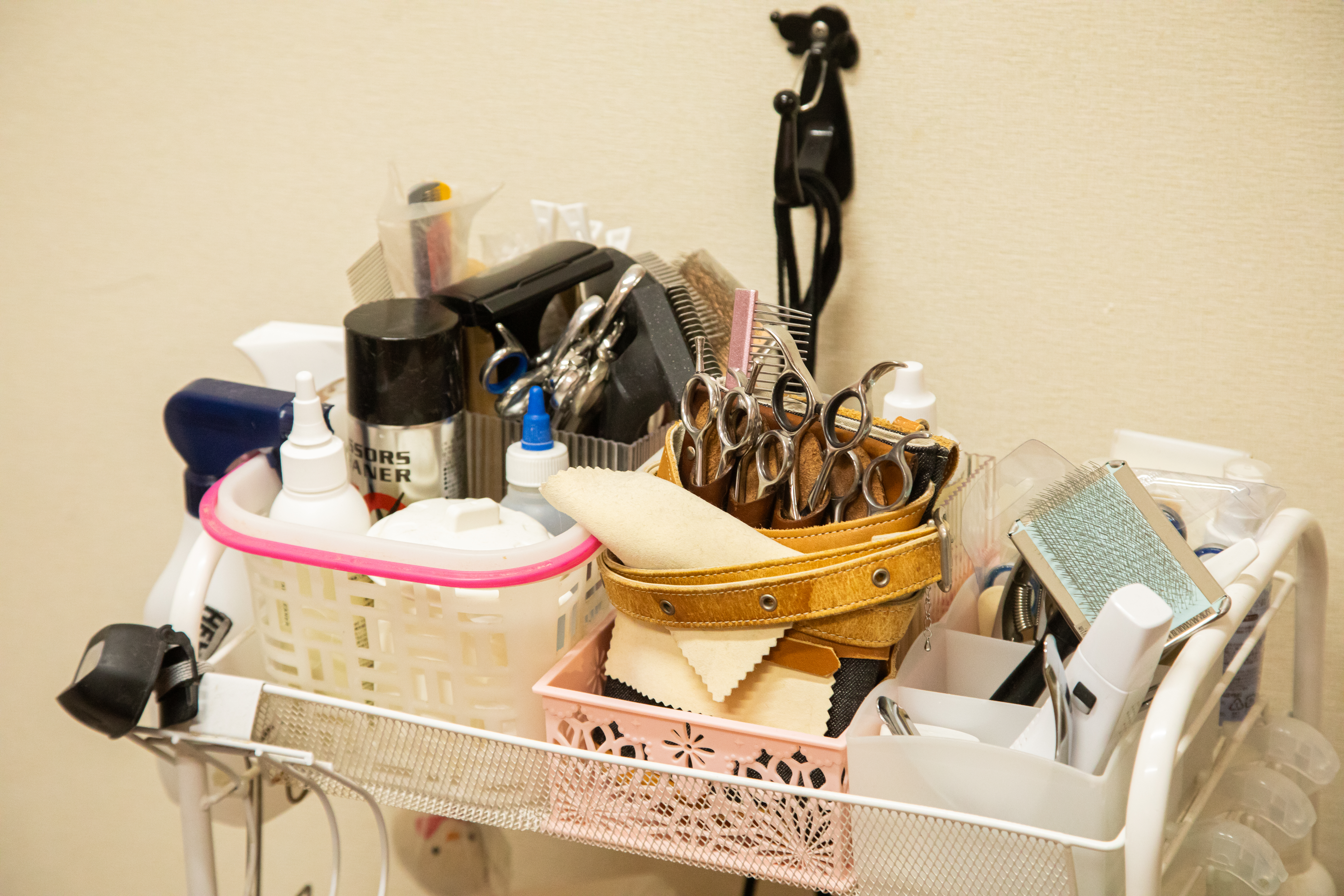 Trimming salon huggy fluffy