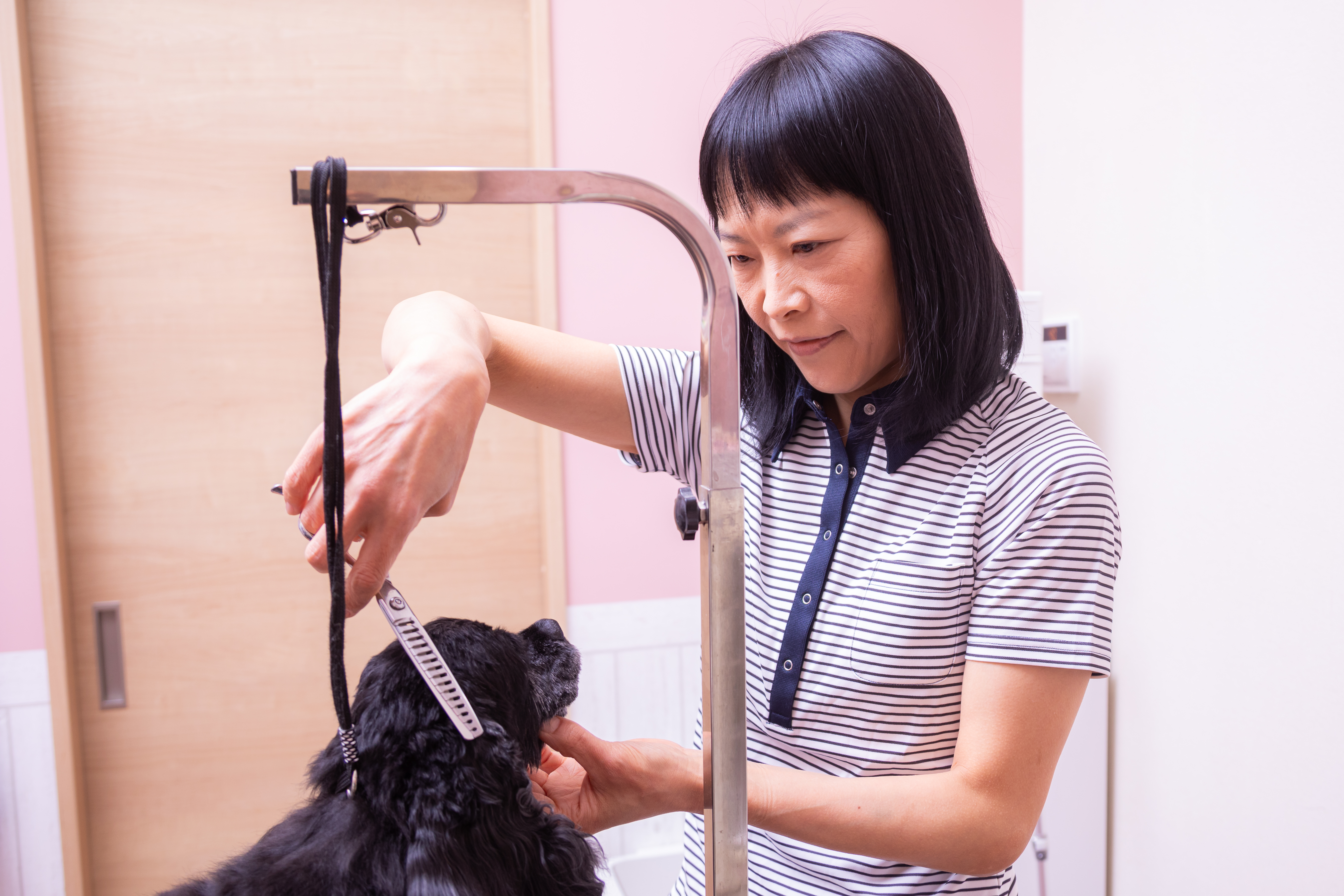 Trimming salon huggy fluffy