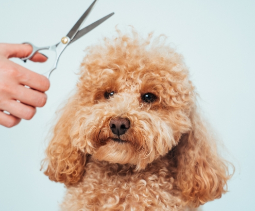 カット×モイスト温浴