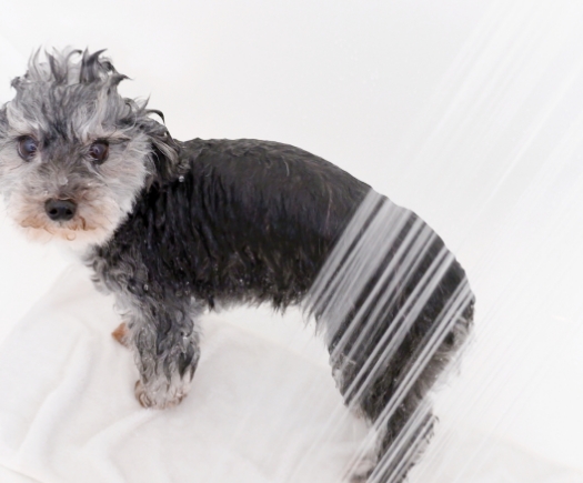 モイスト温浴×ナノバブル温浴